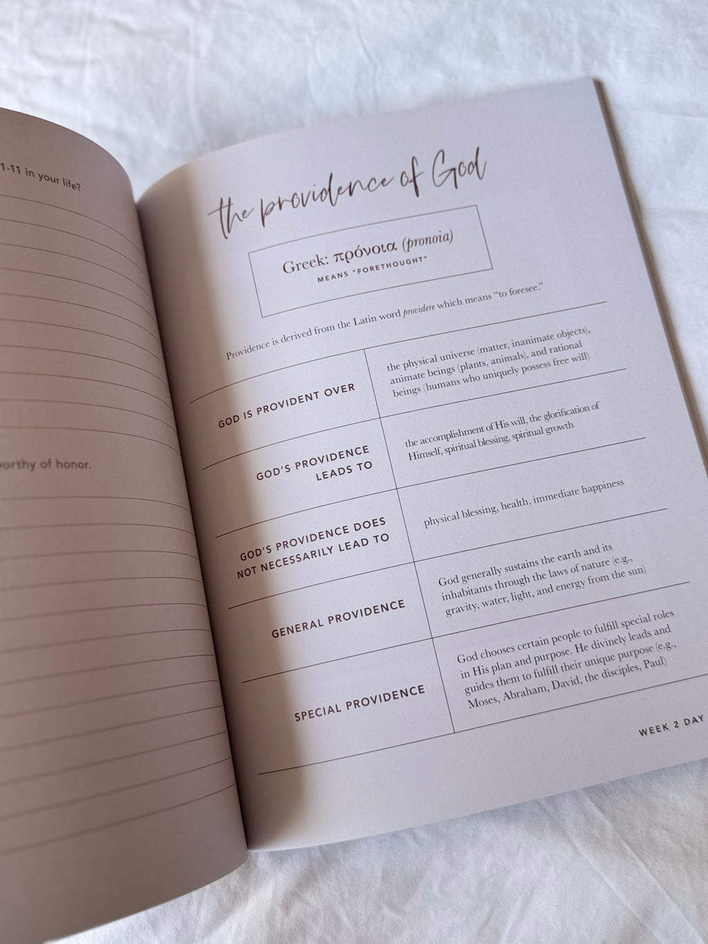 Esther Bible Study