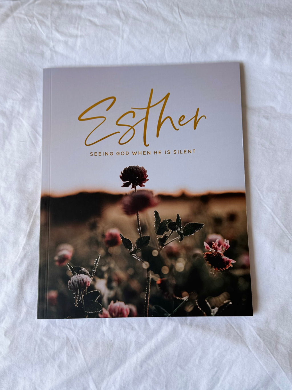 Esther Bible Study