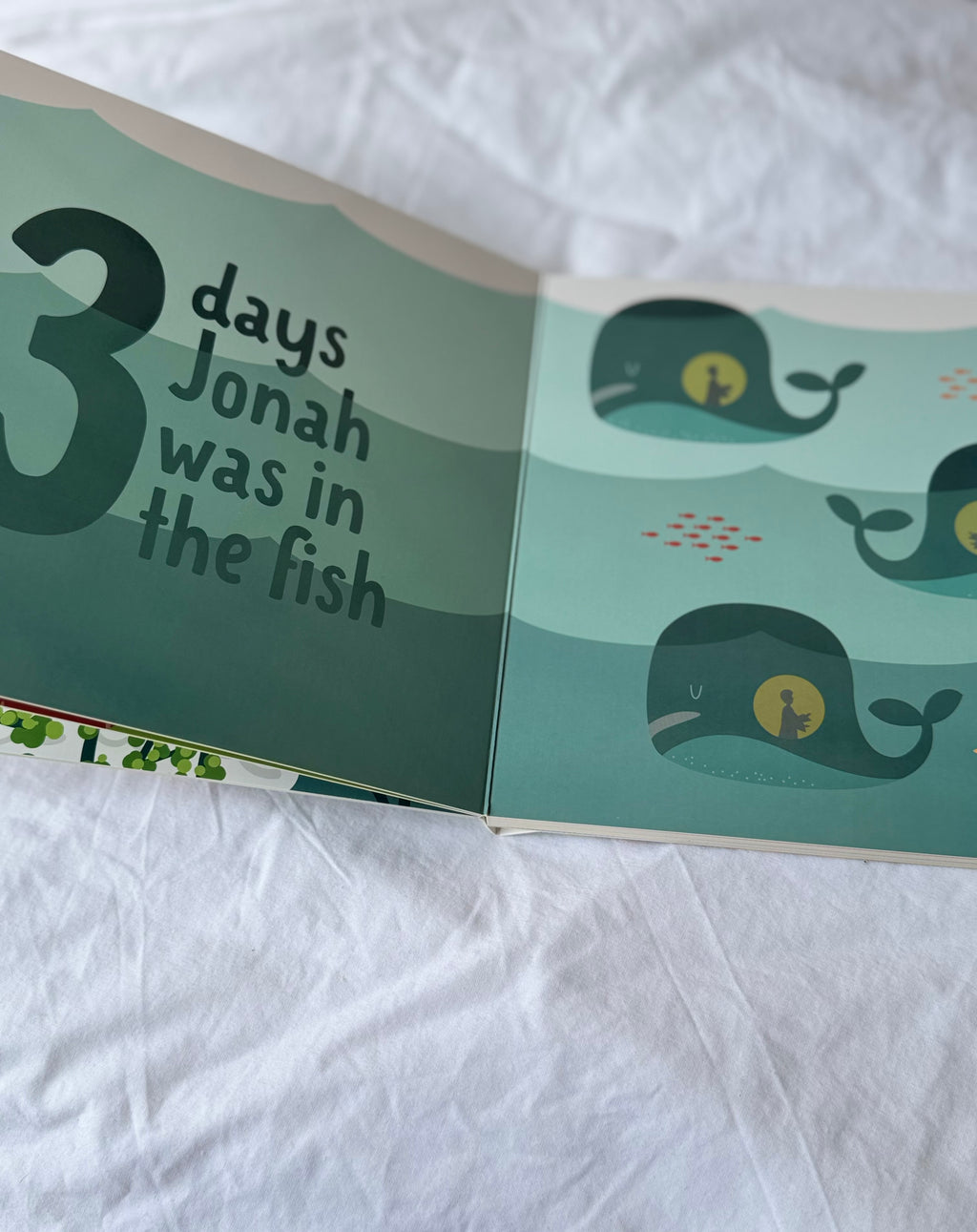 Counting Through the Bible Board Book