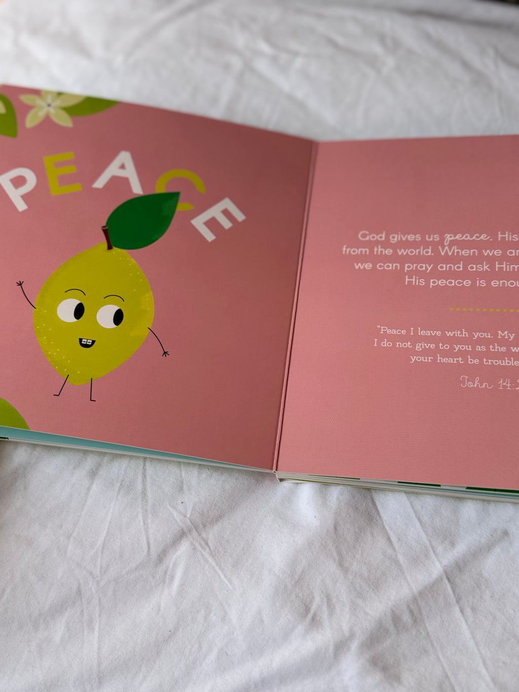 The Fruit of the Spirit Board Book